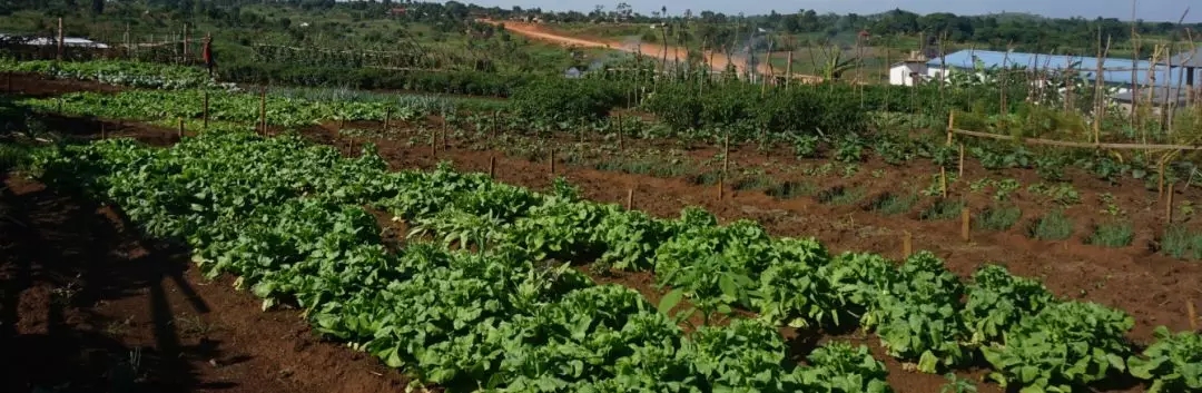 1621232039274026.jpg 1621232039274026.jpg