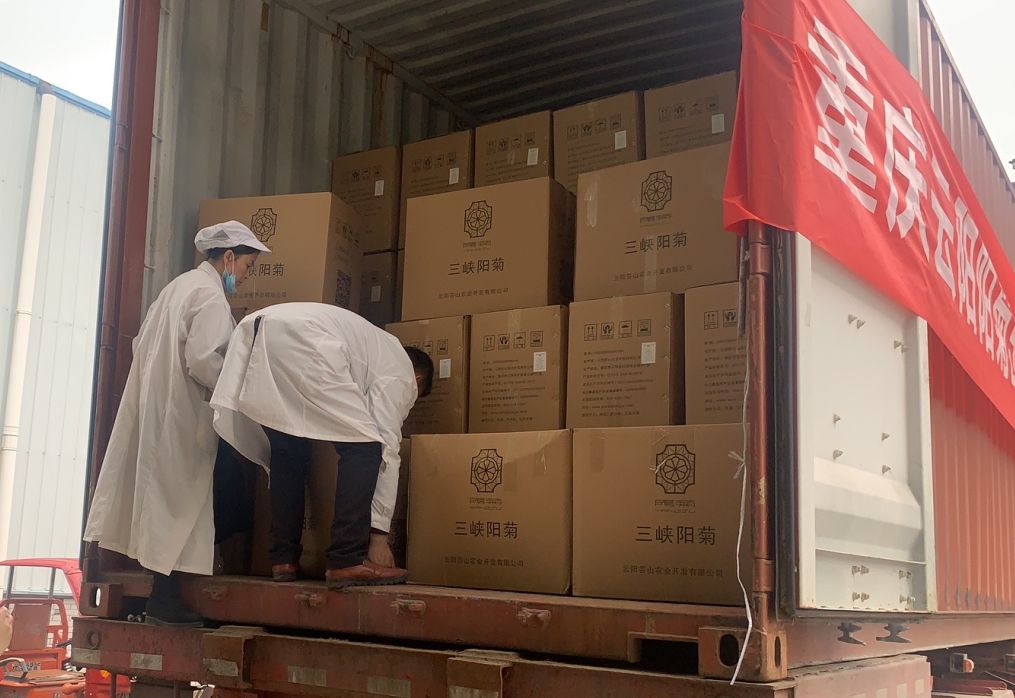 1621478248296919.jpg 1621478248296919.jpg