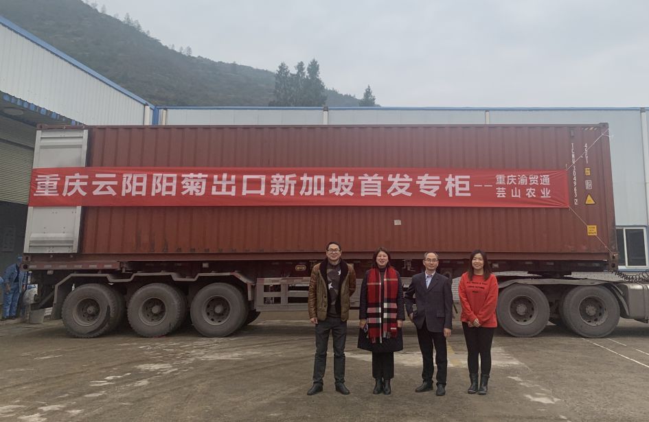 1621478248922816.jpg 1621478248922816.jpg